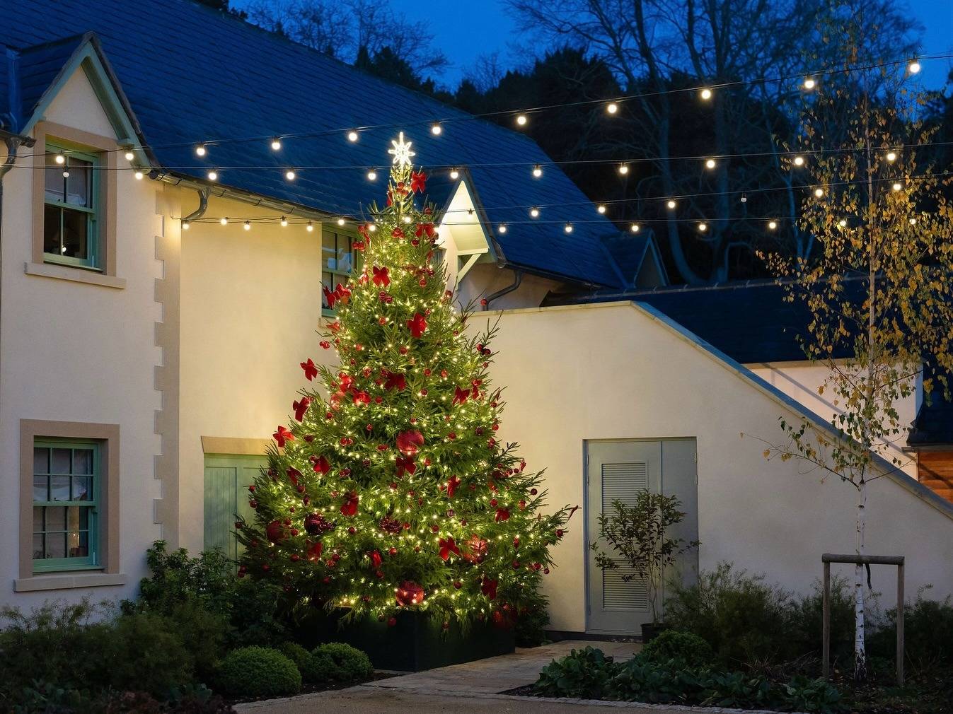 Timber Doors  Surrey Christmas Tree